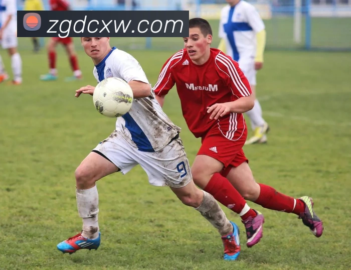 星空app官方站官网，星空（中国）发展历程